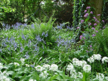 Waldstück