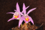 Benutzeravatar