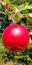 Benutzeravatar