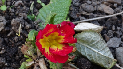 DSC07670.JPG