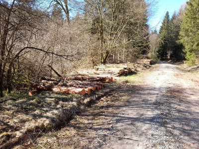 20250328_094041.jpg