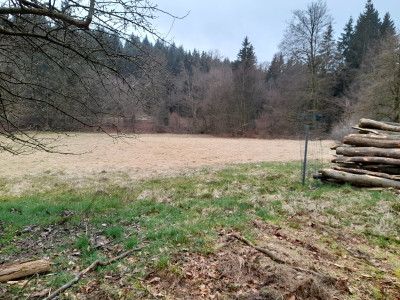 20250329_080112.jpg