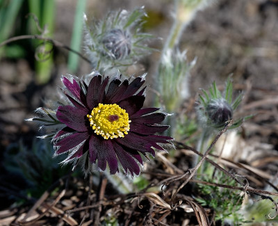 DSC_9583_DxO.jpg