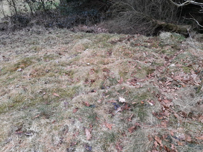 20250329_074829.jpg