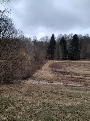 20250329_065005.jpg