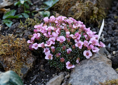 DSC_9589_DxO.jpg