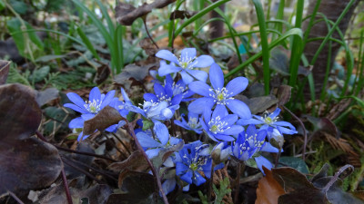 DSC07483.JPG