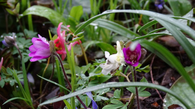 DSC01339.JPG