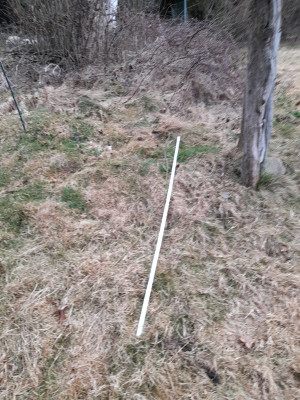 20250330_092123.jpg
