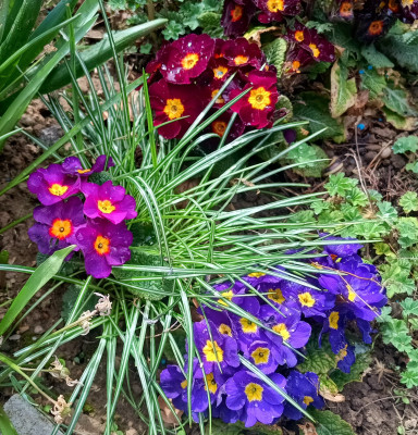 IMG_20250330_135347323_HDR~2.jpg