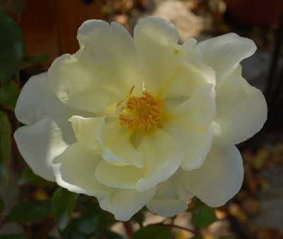 Drei_Gleichen_0010__0536.jpg