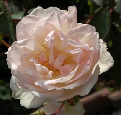 La_Biche_0010__0580.jpg