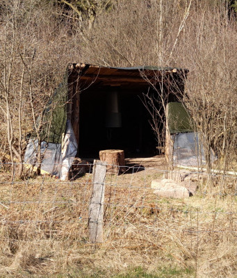 20250328_153807.jpg