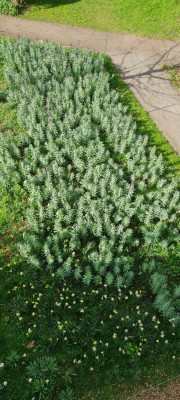 20250331_162916.jpg