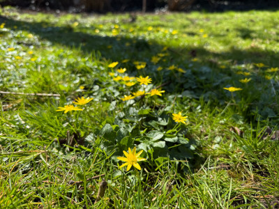 IMG_1575.jpeg