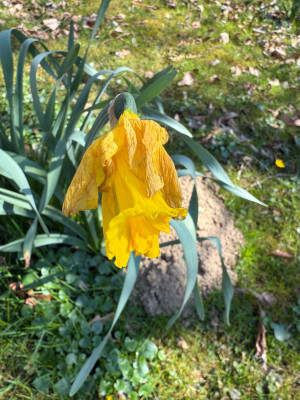IMG_1567.jpeg