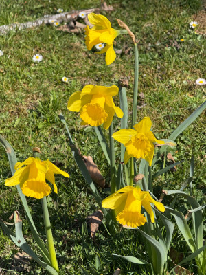 IMG_1570.jpeg