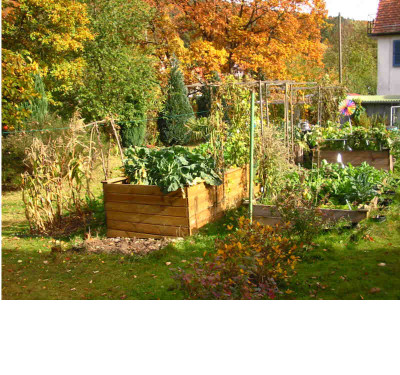 Herbst_Gemuse_1_gesamt.jpg