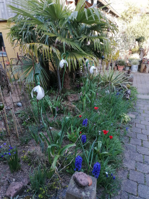 IMG_20250403_175937.jpg
