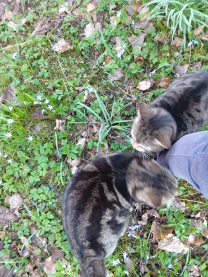 katers.jpg