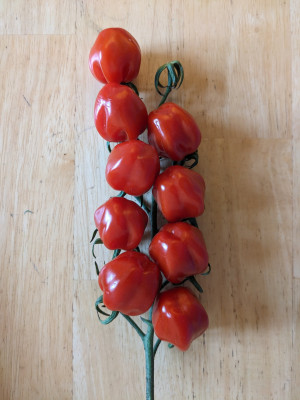 tomate02.jpg