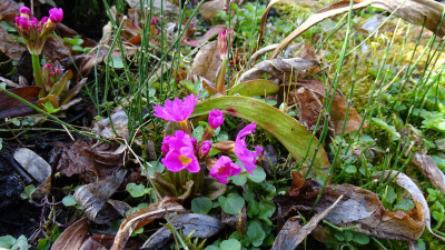 DSC07821.JPG
