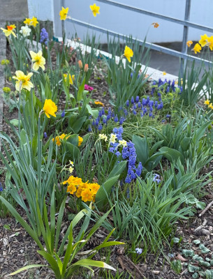IMG_6115.jpeg