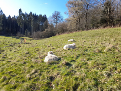 20250406_163909.jpg