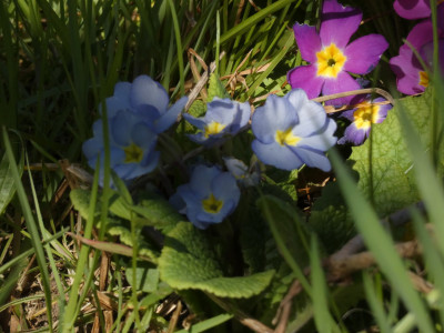 P1020338.JPG