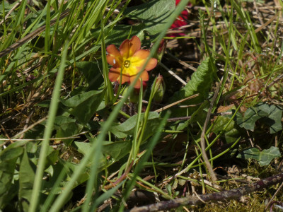 P1020346.JPG