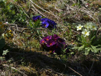 P1020315.JPG