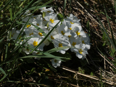 P1020351.JPG