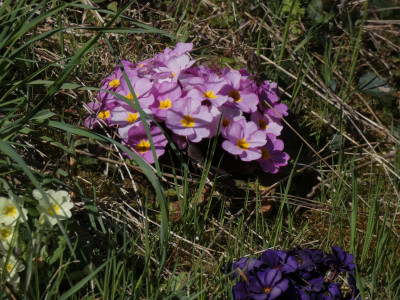 P1020352.JPG