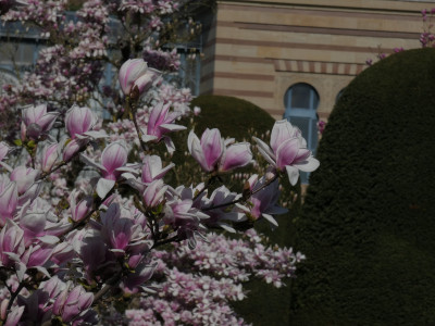 P1020111.JPG