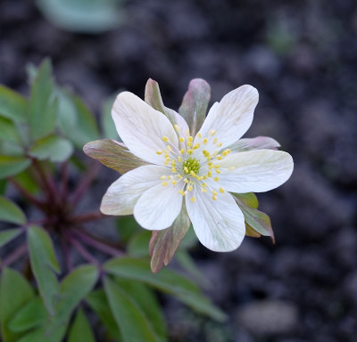 DSC_9599_DxO_DxO.jpg