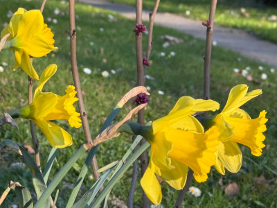 IMG_2738.jpeg