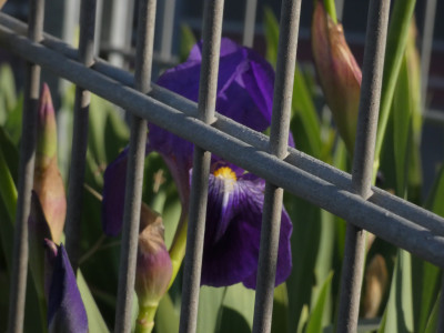 P1020069.JPG