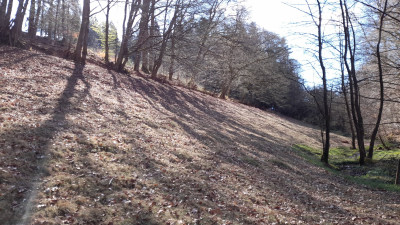 IMG-20250408-WA0004.jpeg