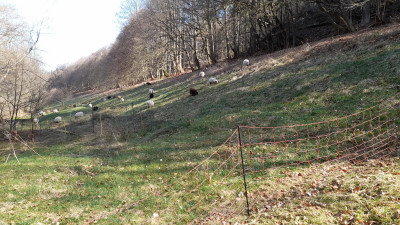 IMG-20250408-WA0005.jpeg
