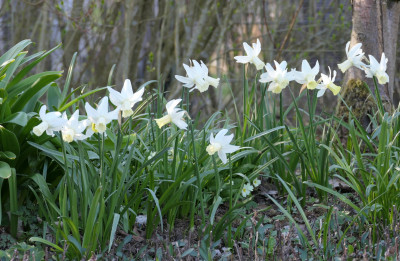 'Jenny'