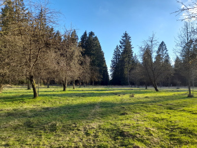 20250408_181045.jpg