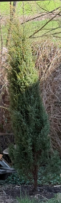 IMG_3059.jpeg
