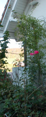 Jean_Jaques_Voirol_0010__0668.jpg