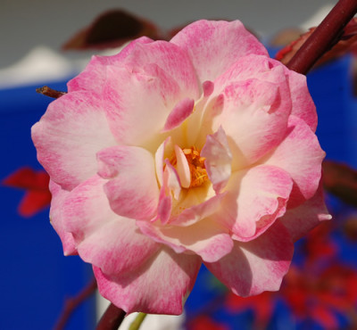 Winifred_Coulter_Clg_0010__0670.jpg
