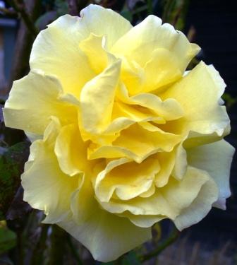 1020961bbb.jpg