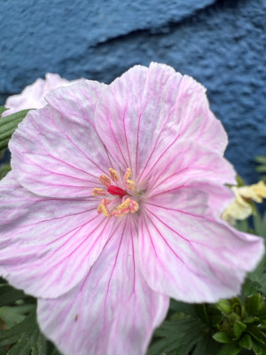 IMG_3670.jpeg