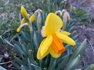 IMG_8943.jpeg