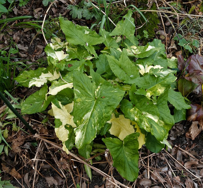DSC02202_DxO.jpg