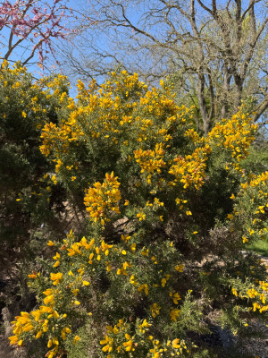 IMG_3875.jpeg