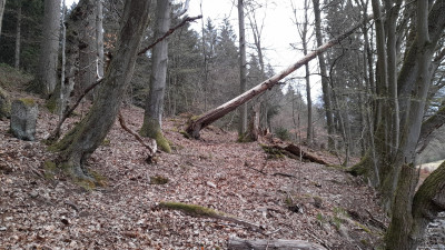 IMG-20250413-WA0010.jpeg